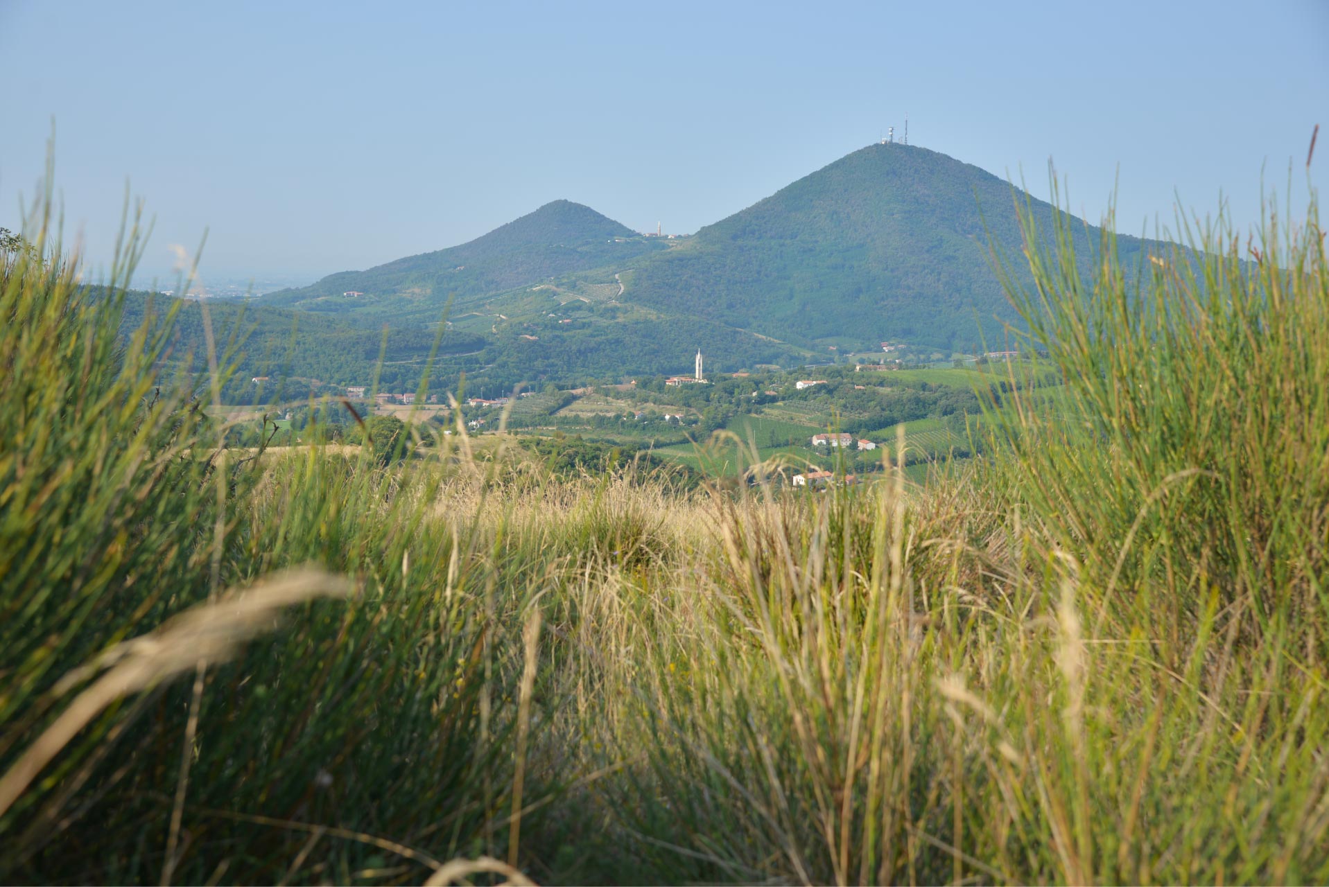 Le pareti rocciose di Rocca Pendice - Stefano Maruzzo